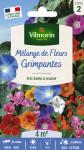 Mélanges de fleurs - Fleurs Grimpantes - 4 m² - Mélange de fleurs - face recto